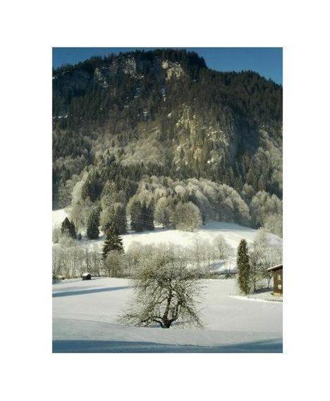 Falkenstein-Wohnung-4-Haus-B Oberstdorf Exterior foto